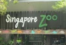 Morning at Zoo with Breakfast